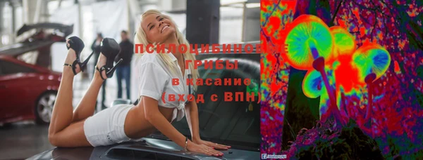 таблы Белокуриха