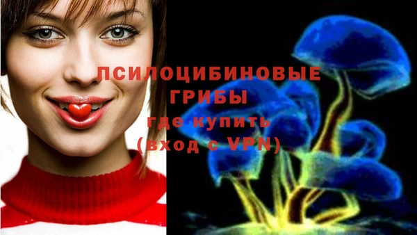 круглые Покровск