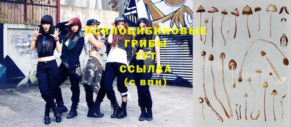 таблы Белокуриха