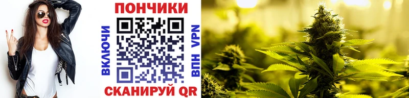 Канабис AK-47  Борзя 